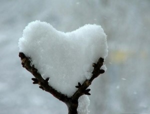 snowy heart on twigs